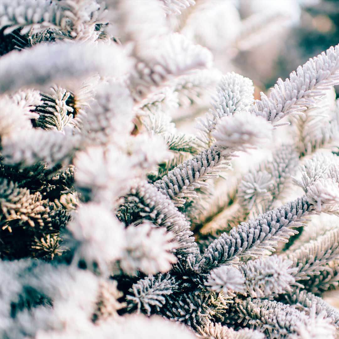 AROMA WINTER PINE 500ML