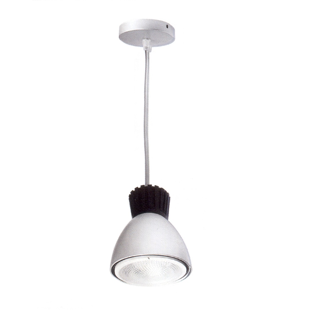 L.COL.25W/PAR38.SATIN#MCIK-125/S(X)