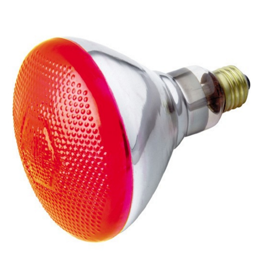 REFL.BR38/100W/RO.#04410/ST-S4424(X)