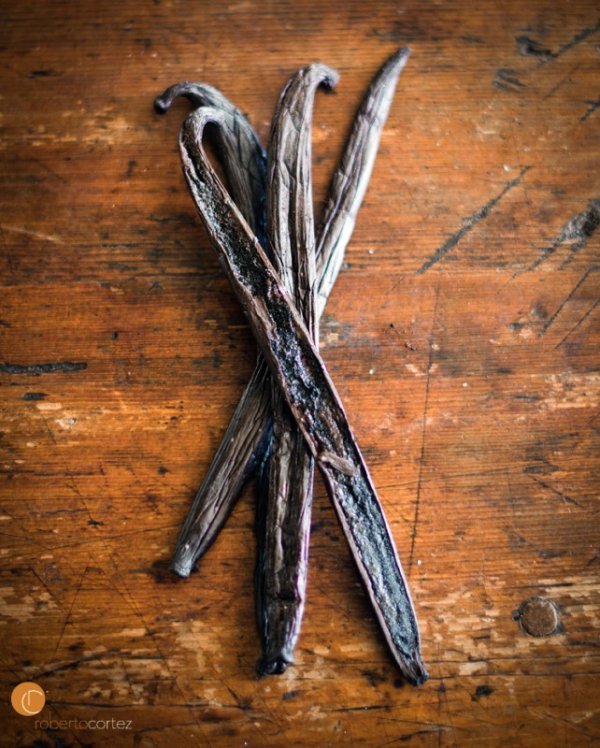 AROMA VAINILLA CEDAR WOOD SAGE W/METAZENE