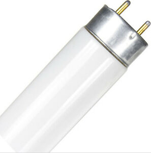 TUBO FLUOR.17W/T8# E33156/31464-4/FO17/765 ECO/0117305