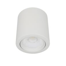 L. CILIND 10W/1020LM/30MHRS/30K#10YSNLED009MV30B